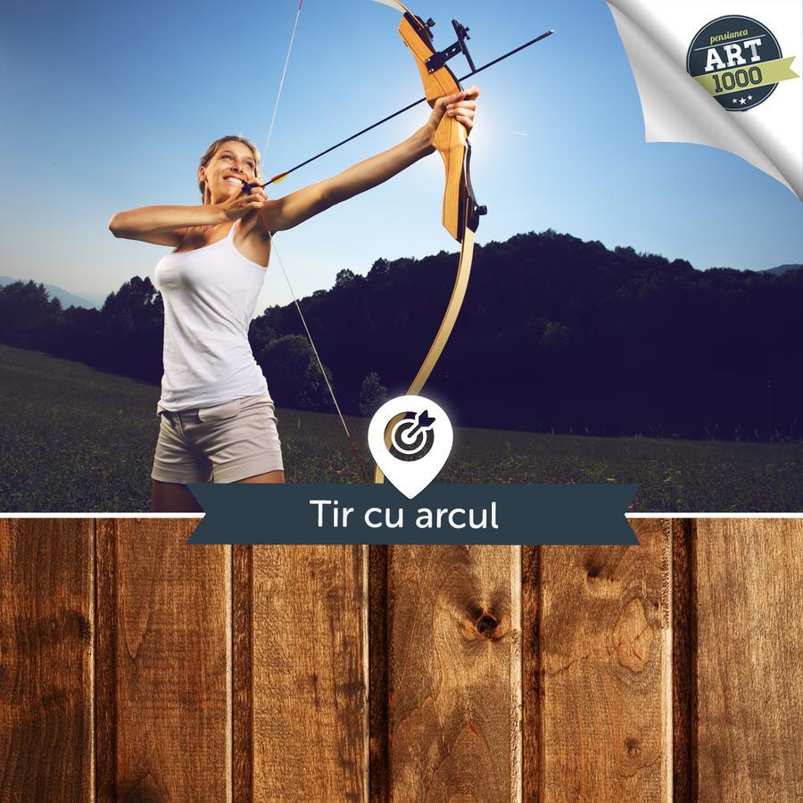 Pensiunea Art 1000 Lunca Visagului Exterior foto